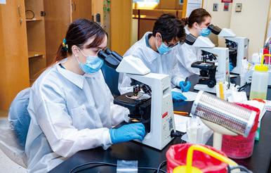 Medical Laboratory Science Students in Classroom